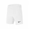 NikeCourt Flex Ace Boy's Tennis Shorts